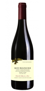 Philippe Milan Bourgogne Rouge Cote Chalonnaise 2023 (half bottle)